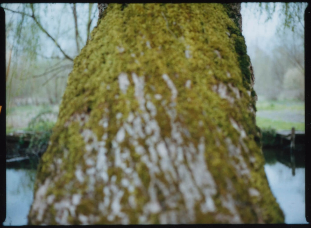 laterreamoureuse_hd_336_b