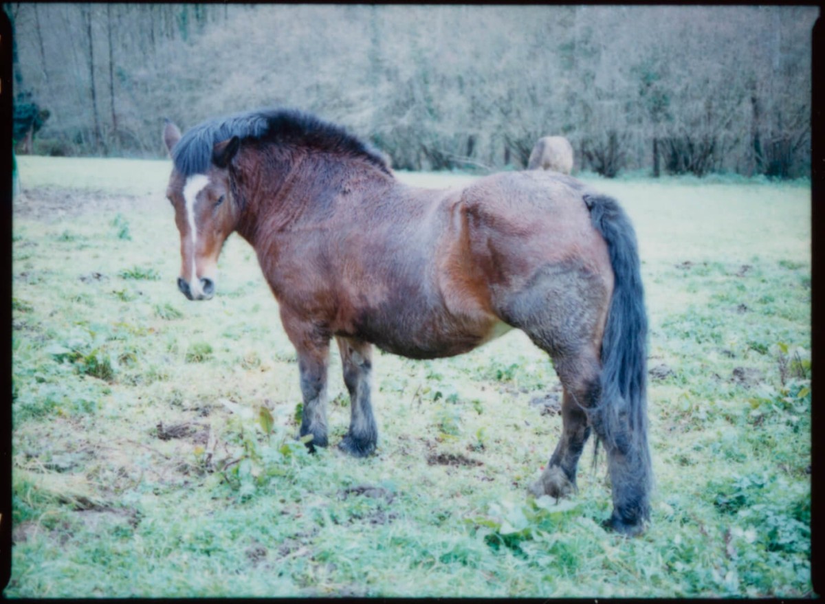 laterreamoureuse_hd_673_b