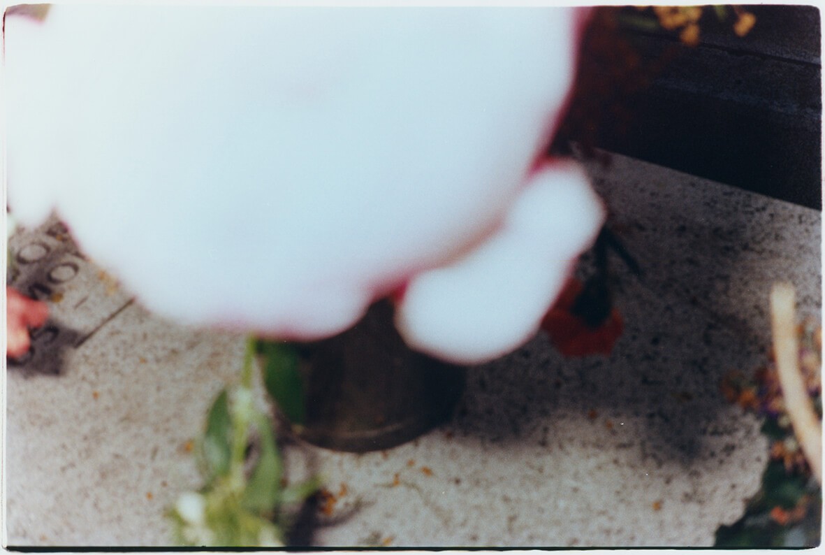 fleurs-2