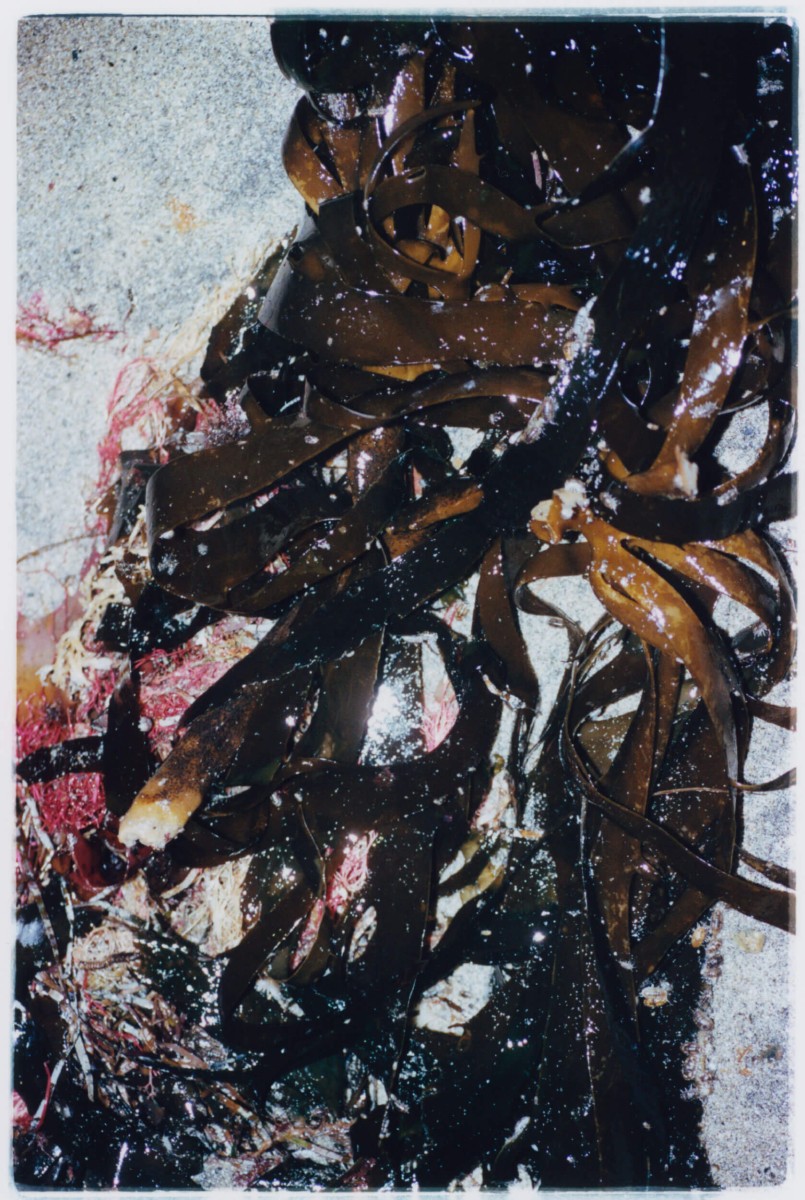 tempete-apres-tempete_mep-6