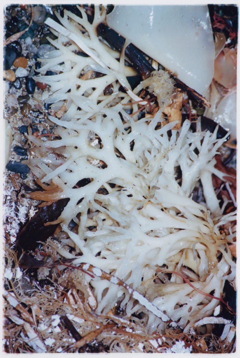 tempete-apres-tempete_mep-8