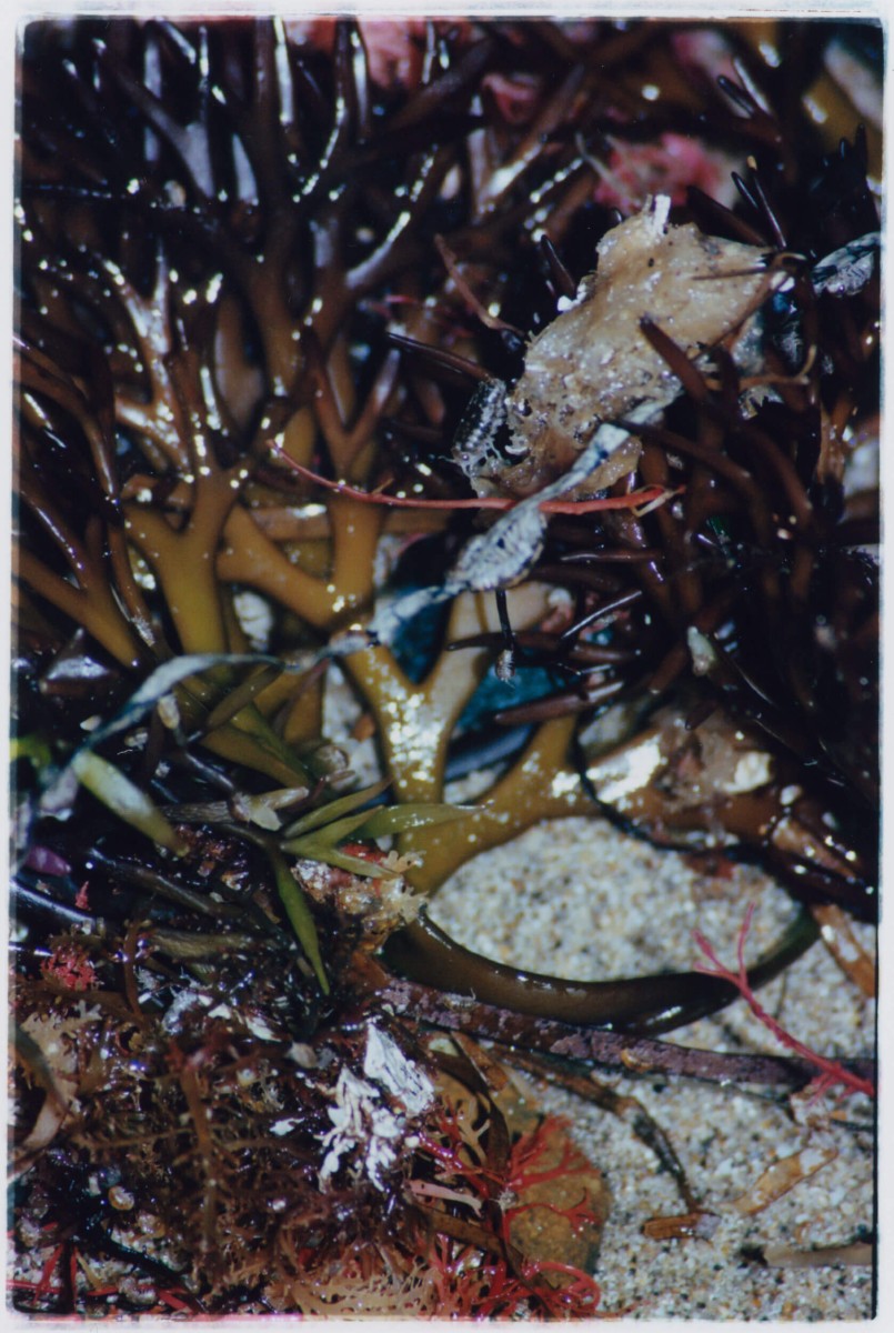 tempete-apres-tempete_mep-4