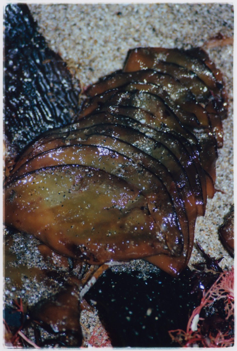 tempete-apres-tempete_mep