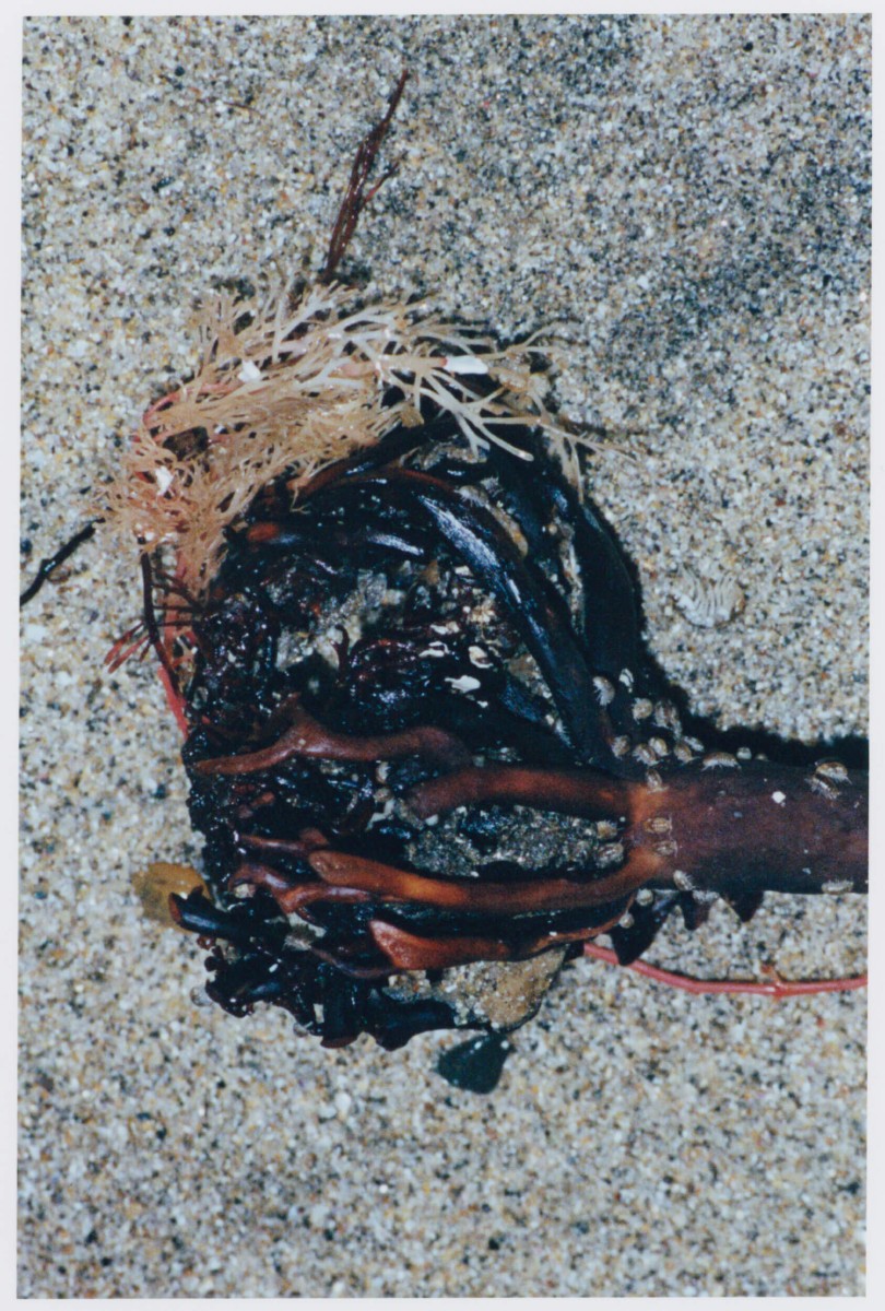 tempete-apres-tempete_mep-3