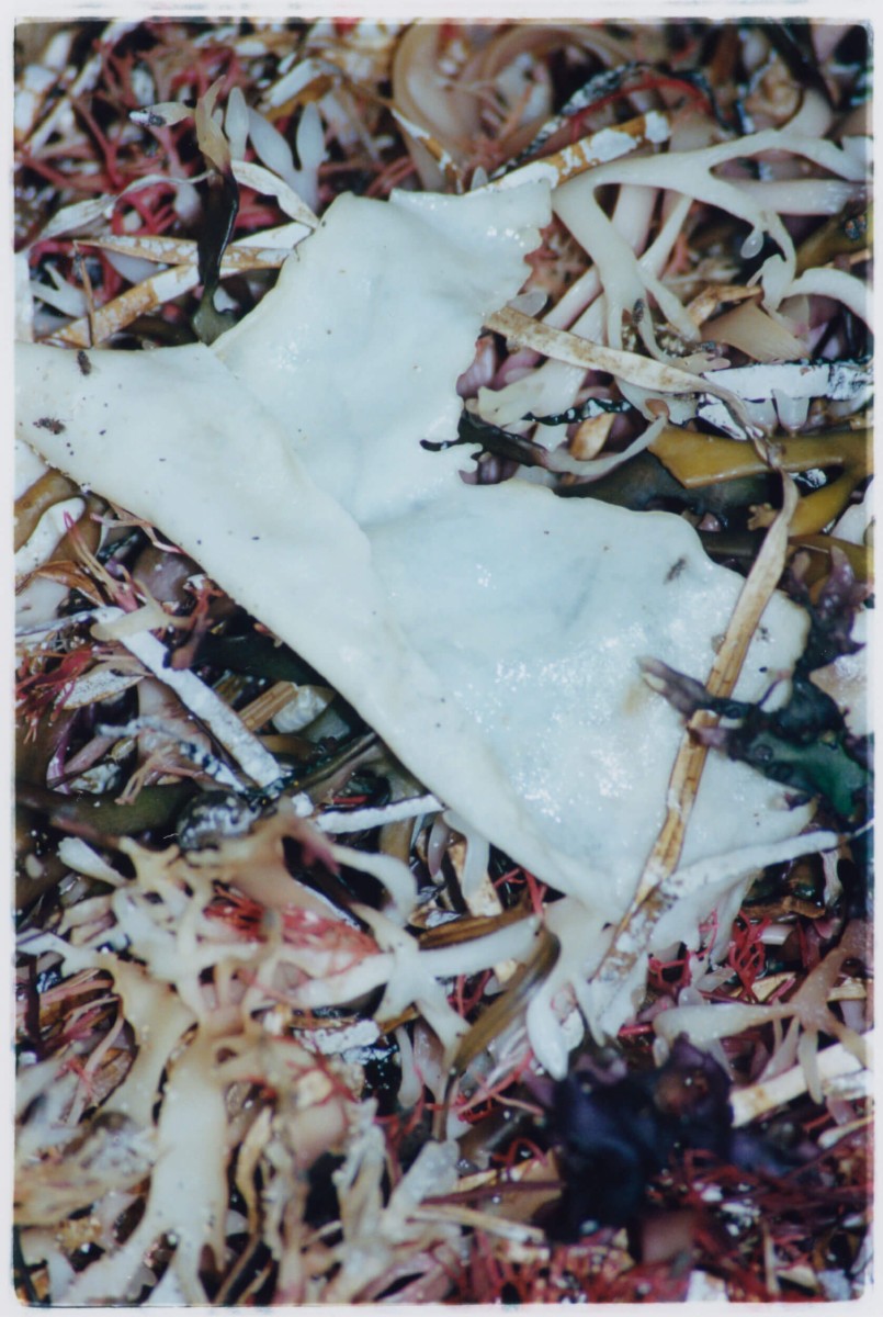 tempete-apres-tempete_mep-7