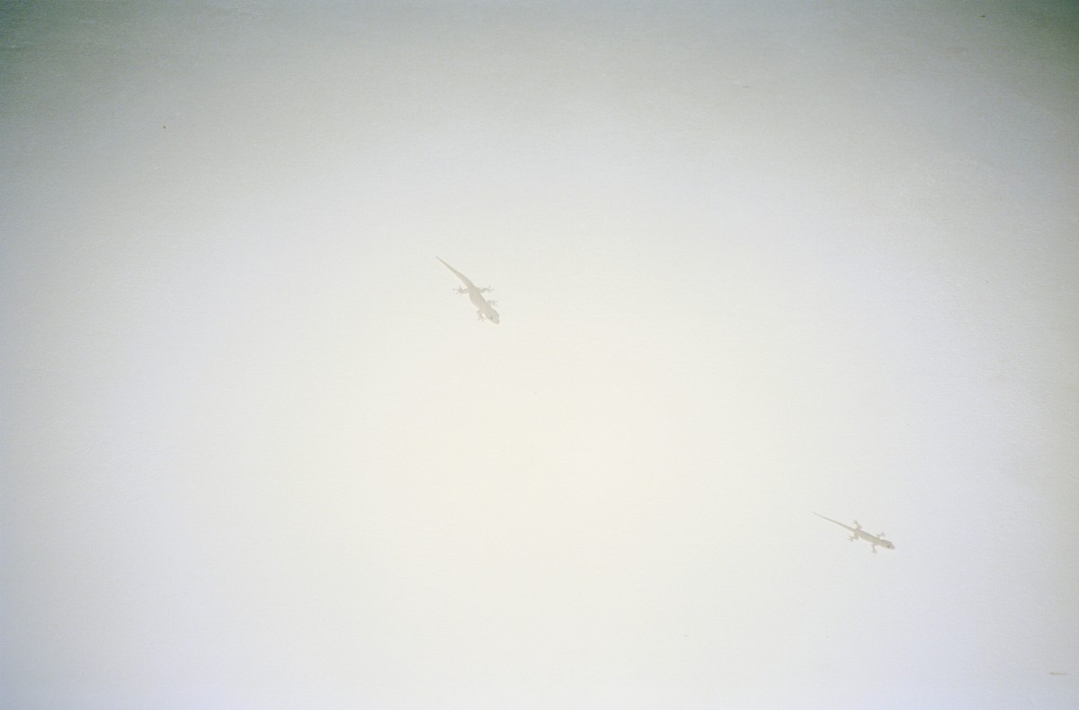 55x33-cm-contrecolle