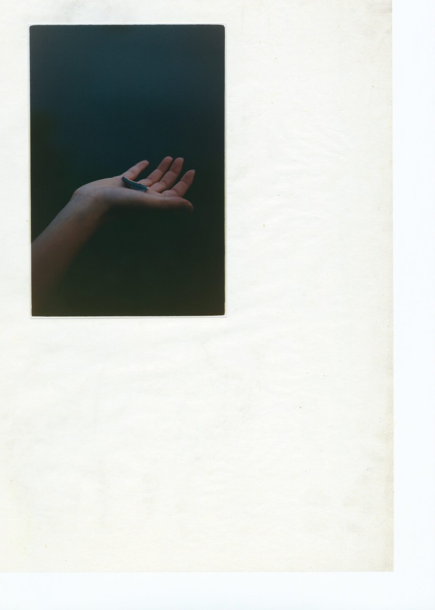 tide_13_bd