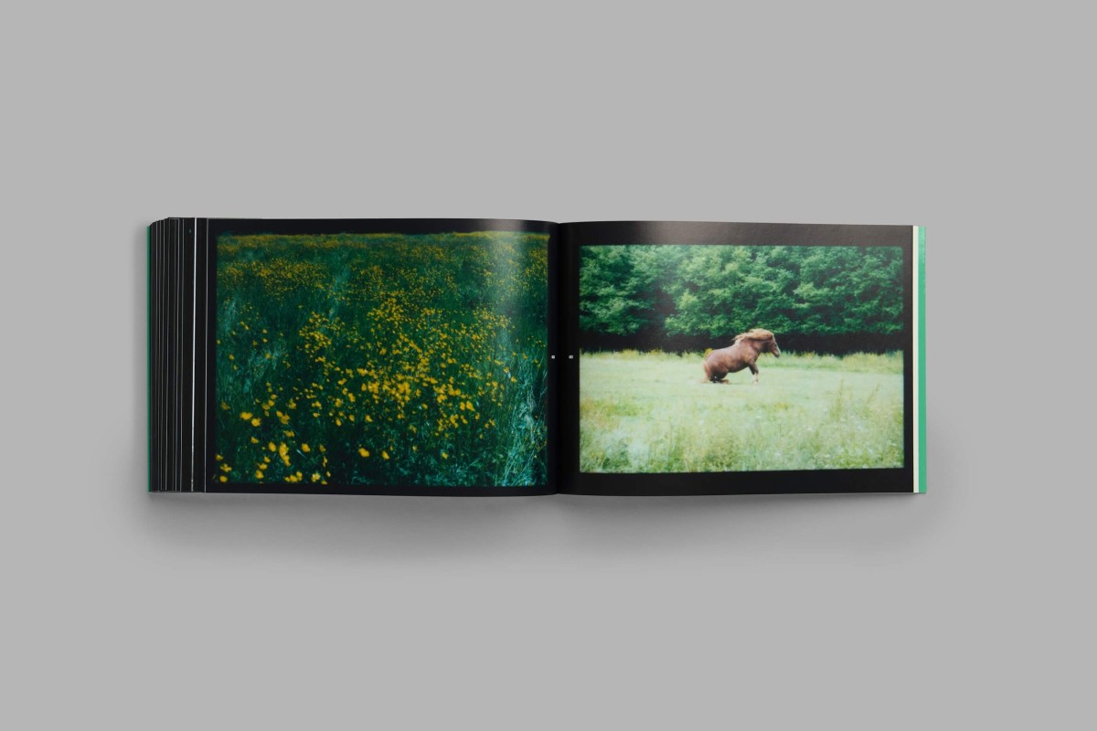 laterreamour-460_461