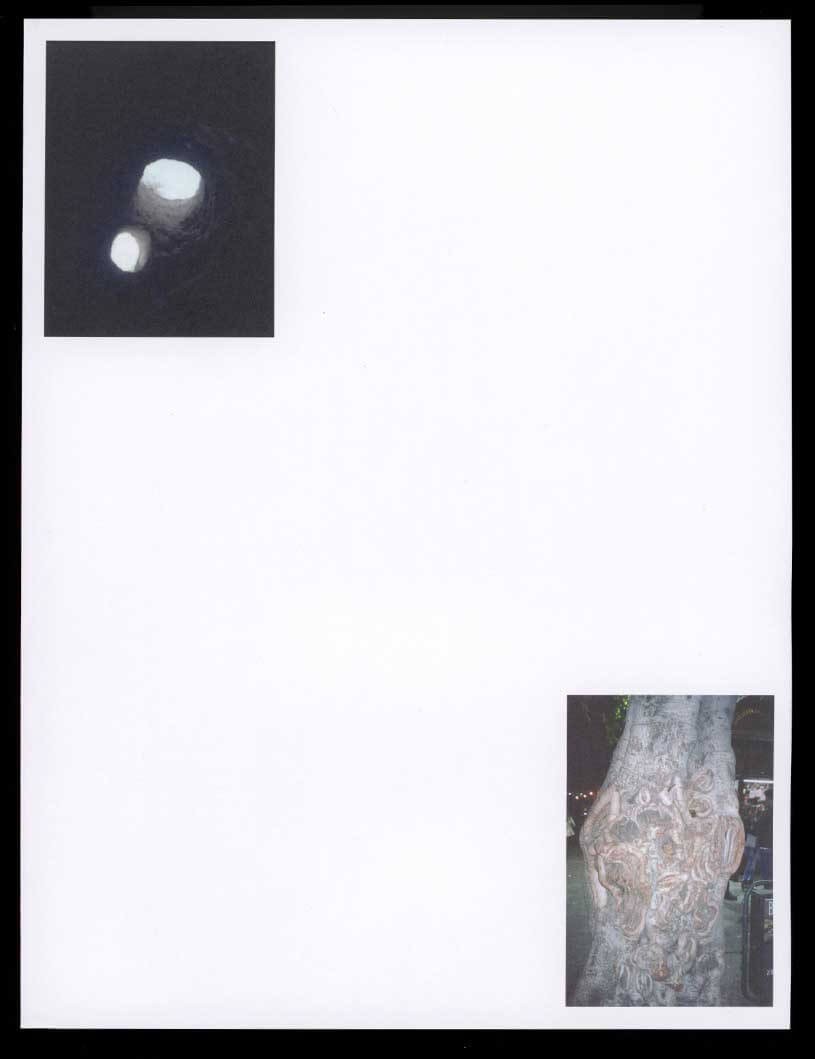 moncorpscommeuneplage_lerayonverteditions_2019_15