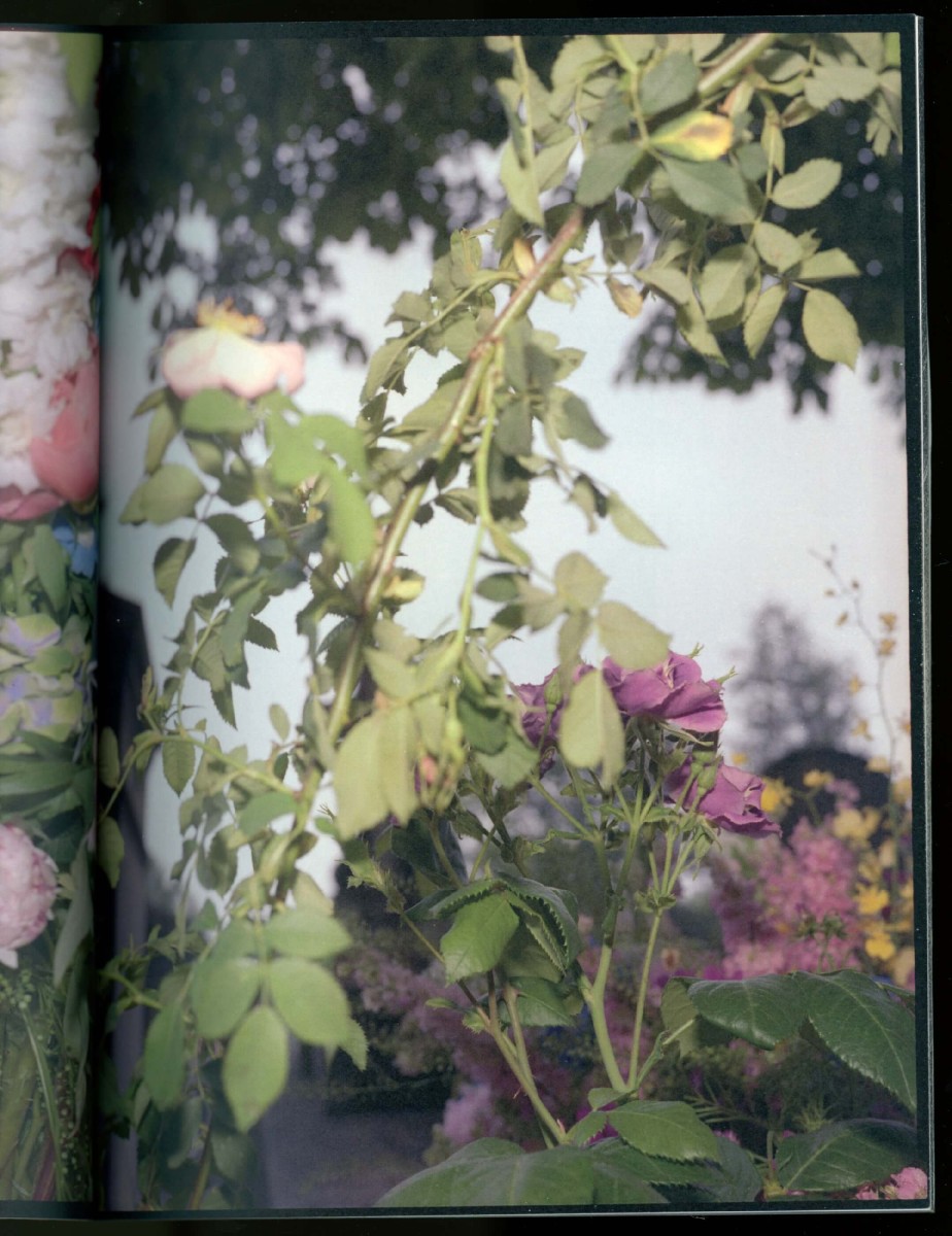 mon-corps-comme-une-plage_le-rayon-vert.editions_2019_03